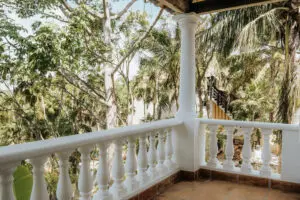 view of trees from a villa balcony