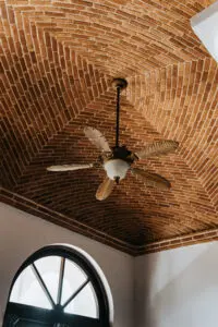 Ceiling fan with unique leave shaped blades