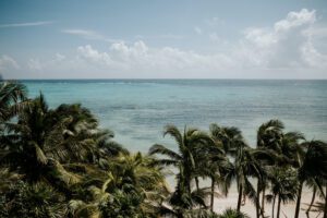 view of sea and coconut trees