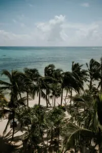 Coconut trees, sea and beautiful sky