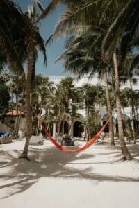 a swing tied to two trees Infront of a villa