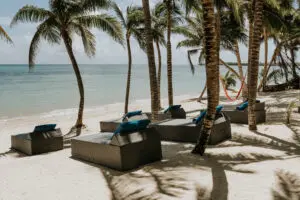 a beach side with bed arrangements and many trees