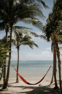 a swing tied with two coconut trees