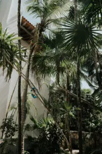 low angle view of trees in a villa